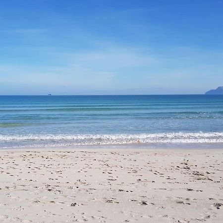 Ideal Property Mallorca - Marvi Αλκούδια Εξωτερικό φωτογραφία