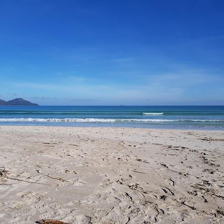 Ideal Property Mallorca - Marvi Αλκούδια Εξωτερικό φωτογραφία