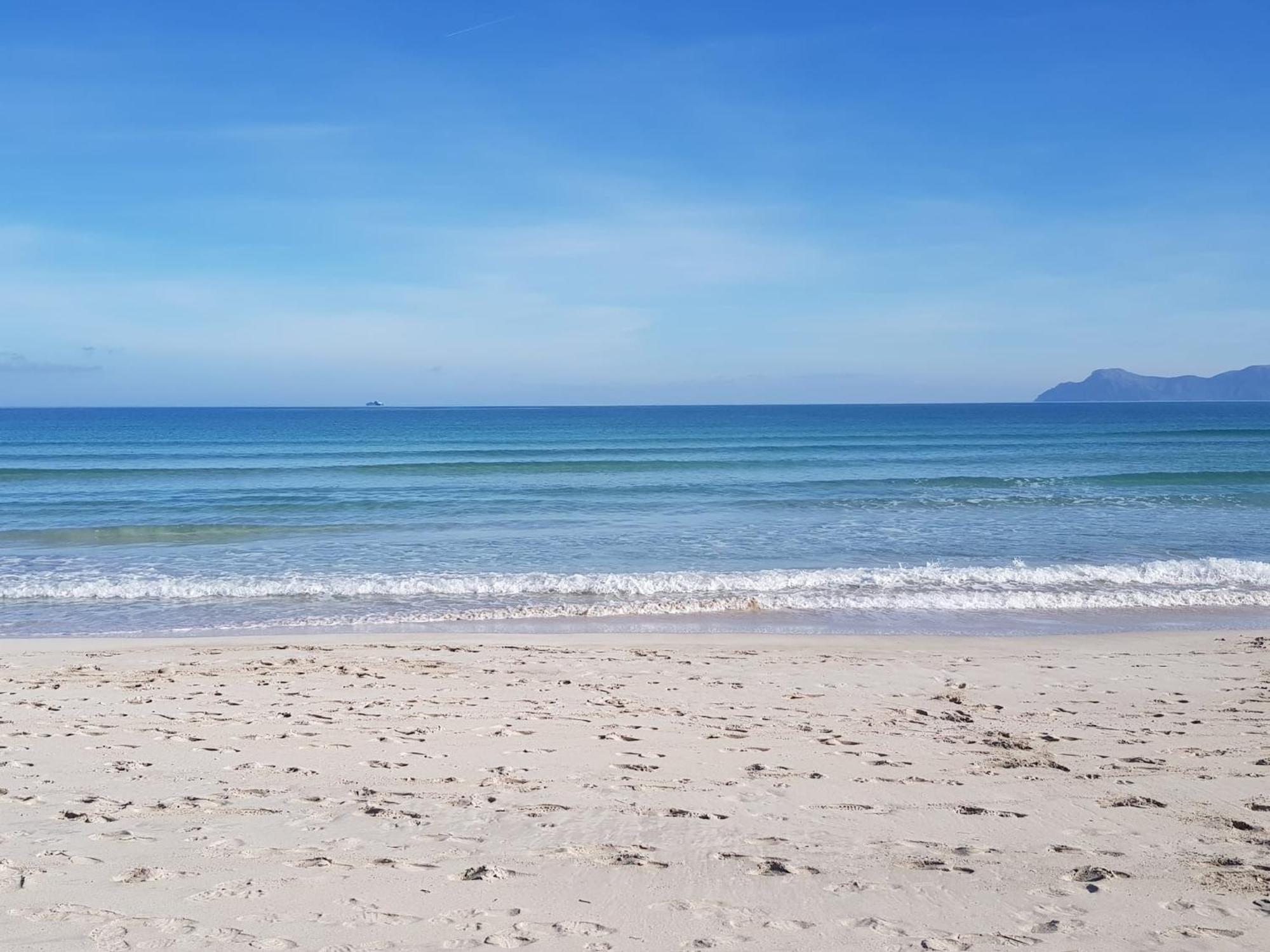 Ideal Property Mallorca - Marvi Αλκούδια Εξωτερικό φωτογραφία