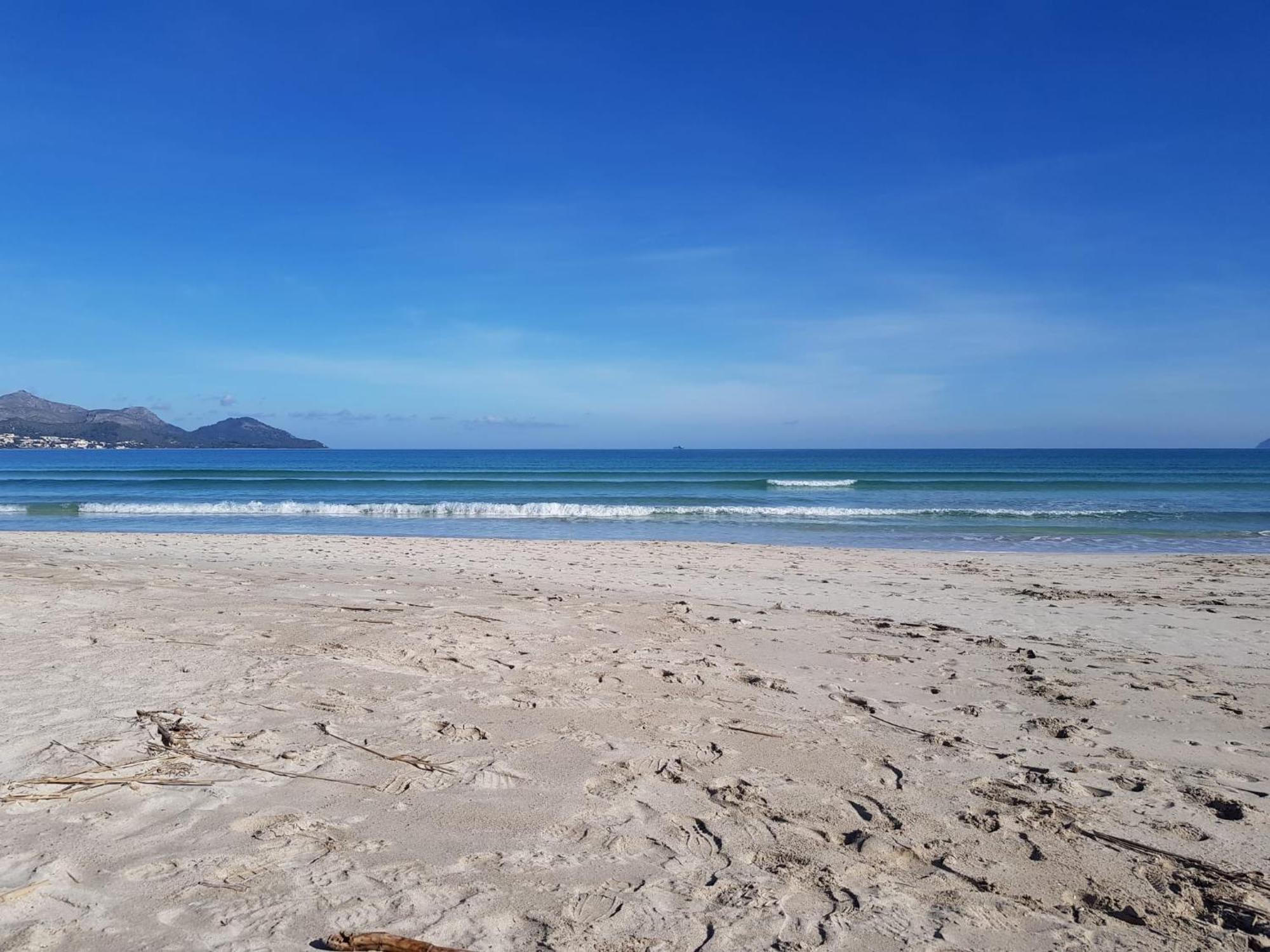 Ideal Property Mallorca - Marvi Αλκούδια Εξωτερικό φωτογραφία